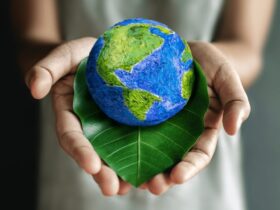 2023 Is Changing the Global Sustainability Trends